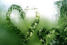 风云突变成都蓉城赛后战术微调，NBA总决赛版图或变，球迷炸锅，高层口径保持一致的简单介绍-JBO.com